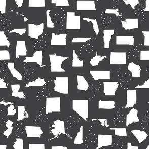 Black and White States