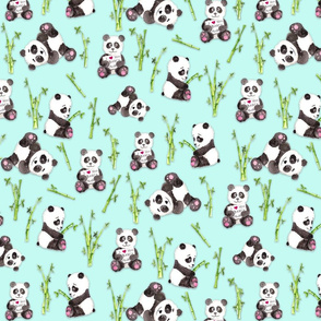 Panda Beary Love on Aqua