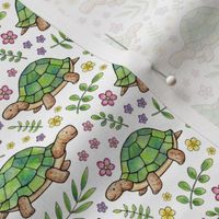 Tortoises and Flowers on White - smaller version