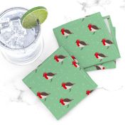 Winter wonderland red robin birds in snow mint red gender neutral SMALL