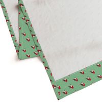 Winter wonderland red robin birds in snow mint red gender neutral SMALL