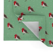 Winter wonderland red robin birds in snow mint red gender neutral SMALL