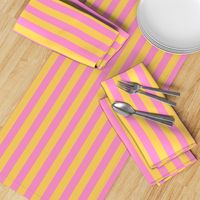 JP26 - Step Back Yellow and Savvy Pink basic stripe