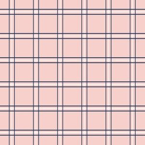 Pretty Plaid 1": Navy & Rose Gold Small Plaid