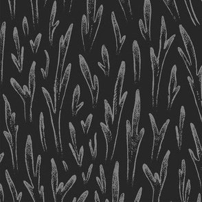 Stag Ferns [grey]
