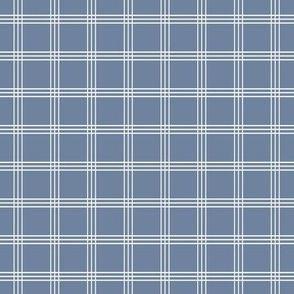 Pretty Plaid 1": Chambray Blue 10 Small Plaid