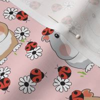 large guinea-pigs-with ladybugs and flowers on pink