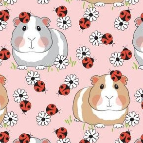 large guinea-pigs-with ladybugs and flowers on pink