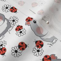 large guinea-pigs-with ladybugs and flowers on white