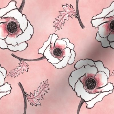 Line-work Poppy Dusty Rose Background