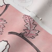 Line-work Poppy Dusty Rose Background