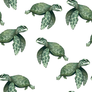 Quiet Sea Turtles - Larger Scale