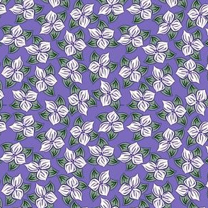 trilliated in lavender