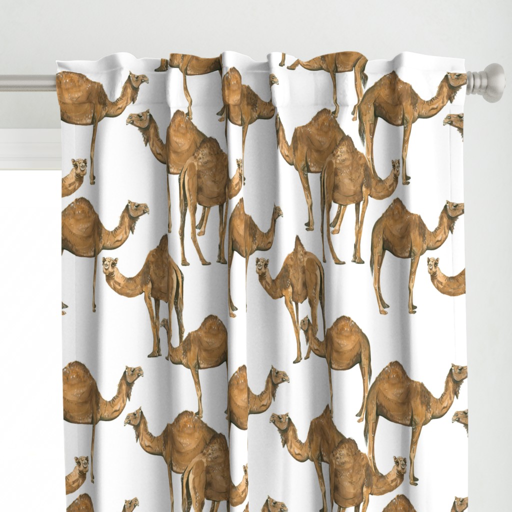 Camels on White - Larger Scale