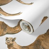 Camels on White - Larger Scale
