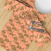 Camels on Salmon - Smaller Scale