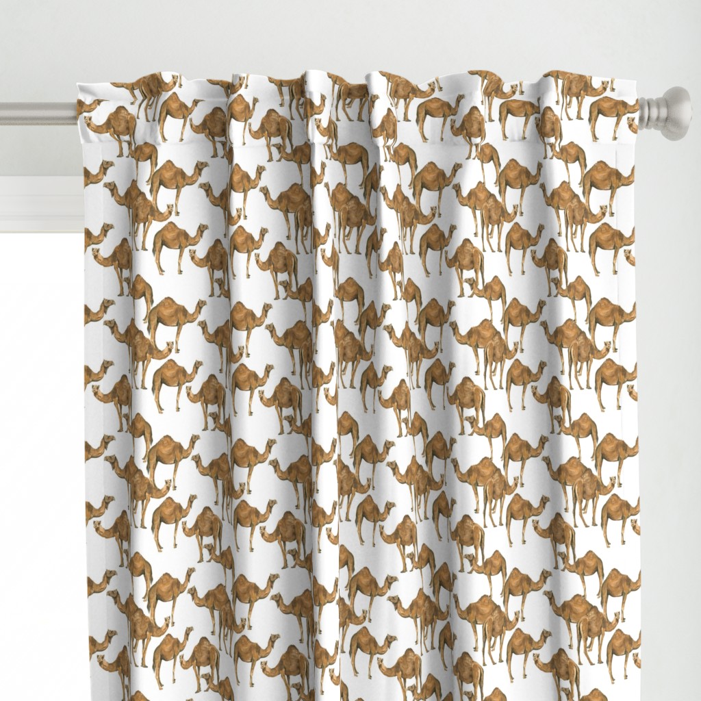 Camels on White - Smaller Scale