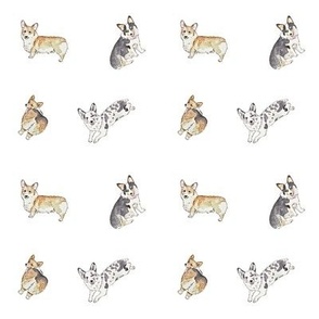 Corgis-watercolor-white