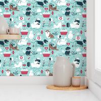Normal scale // VET medicine happy and healthy friends // aqua background red details navy blue white and brown cats dogs and other animals