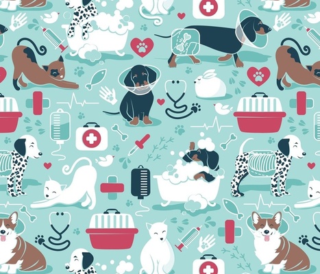 Veterinary medicine, happy and healthy friends // grey background turquoise  details navy blue white and brown cats dogs and other animals