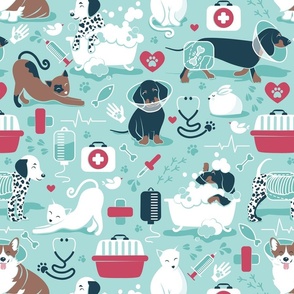 Normal scale // VET medicine happy and healthy friends // aqua background red details navy blue white and brown cats dogs and other animals