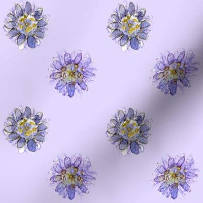 Passion Flower on Purple