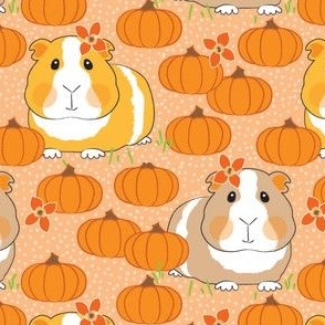 large guinea-pigs-and-pumpkins in a pumpkin patch on peach