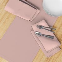 Solid Mauve Coordinate (blush, nude, rose taupe, dusty rose, rose gold, champagne)