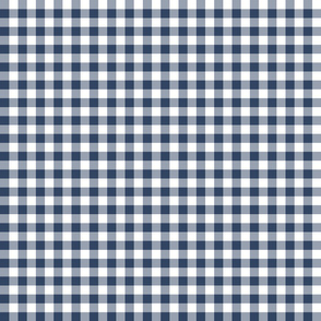 Navy Gingham Mini