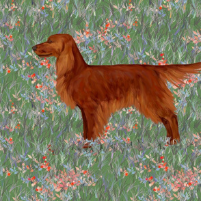 Irish Setter in Wildflower Field For Pillow