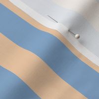 JP29 - Ecru and robin egg blue basic stripe