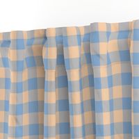 JP29 - Ecru and robin egg blue buffalo plaid