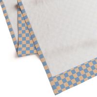 JP29 - Ecru and Robin Egg Blue Checkerboard