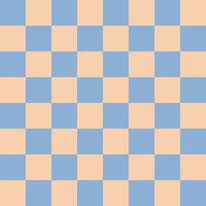 JP29 - Ecru and Robin Egg Blue Checkerboard