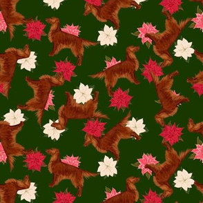 Irish Setter and Poinsettia Allover Christmas Scatter