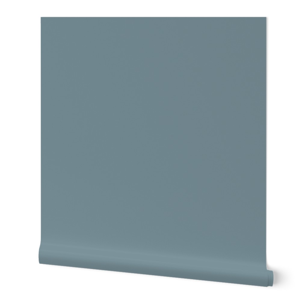 Solid Dusty Blue Coordinate (steel blue, pale blue, grayish blue)
