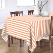 Peach Stripe 1"