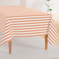 Peach Stripe 1"