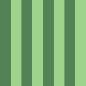 JP30 - Wide Two Tone Green Basic Stripes