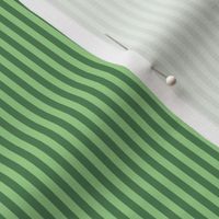 JP30 - Narrow Basic Stripes in Two Tone Green