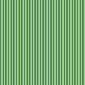 JP30 - Narrow Basic Stripes in Two Tone Green