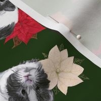 3 Guinea Pigs on Christmas Green with Poinsettias