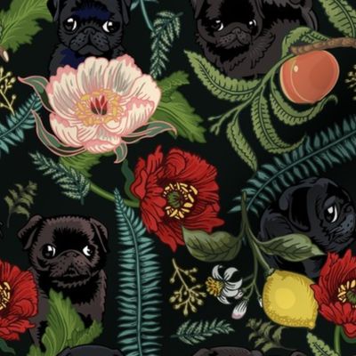 Botanical and Black Pugs
