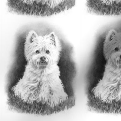 Pencil Drawing: West Highland Terrier