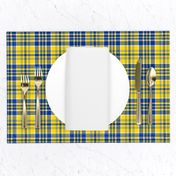 Blue and Yellow White Plaid