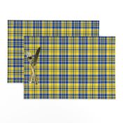 Blue and Yellow White Plaid