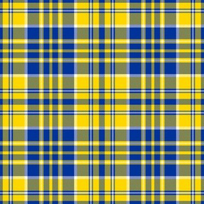 Blue and Yellow White Plaid