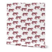 Cool little tiger illustration jungle theme pink on white 