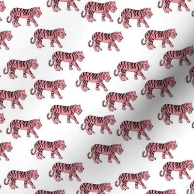 Cool little tiger illustration jungle theme pink on white 