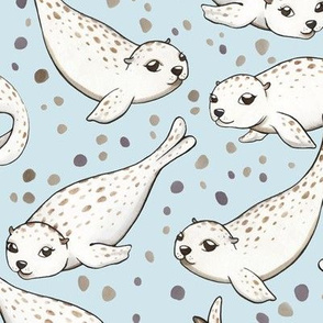 Harbor Seal Pups